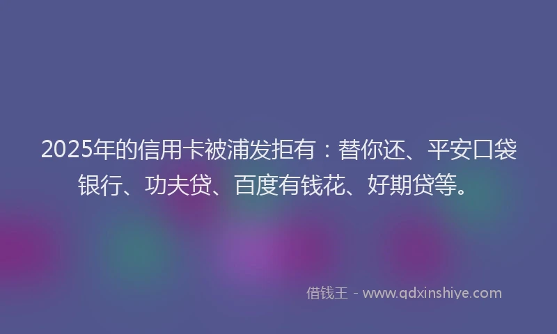 2025年的信用卡被浦发拒有：替你还、平安口袋银行、功夫贷、百度有钱花、好期贷等。