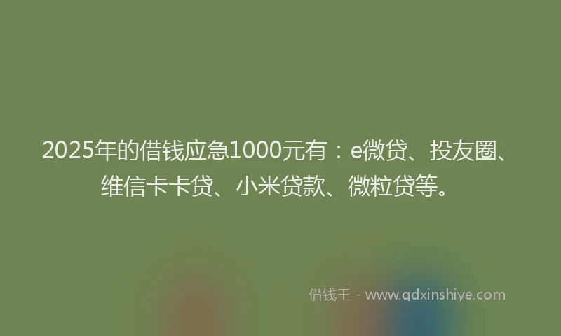 2025年的借钱应急1000元有：e微贷、投友圈、维信卡卡贷、小米贷款、微粒贷等。