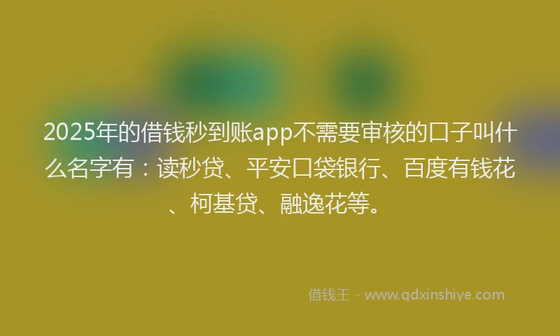 2025年的借钱秒到账app不需要审核的口子叫什么名字有：读秒贷、平安口袋银行、百度有钱花、柯基贷、融逸花等。