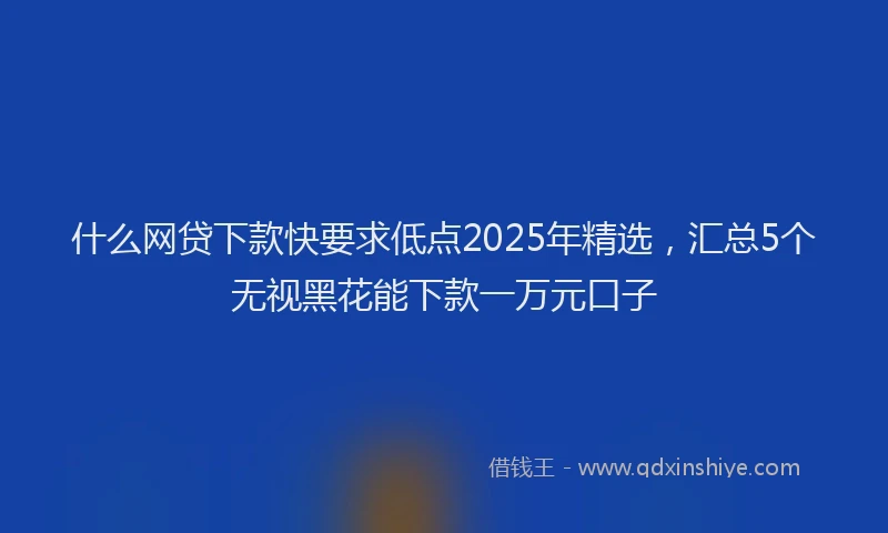 什么网贷下款快要求低点2025年精选，汇总5个无视黑花能下款一万元口子