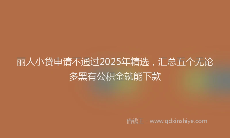 丽人小贷申请不通过2025年精选，汇总五个无论多黑有公积金就能下款