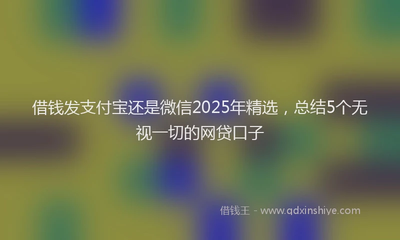 借钱发支付宝还是微信2025年精选，总结5个无视一切的网贷口子
