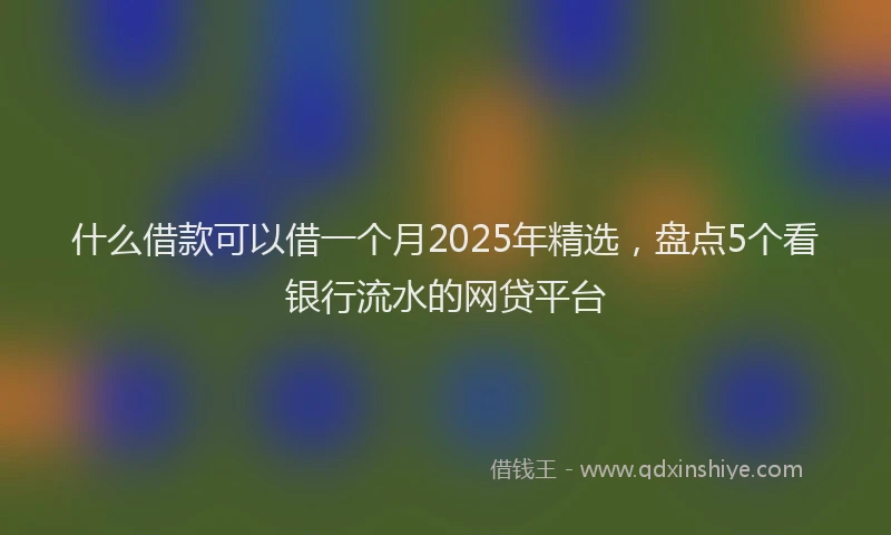 什么借款可以借一个月2025年精选，盘点5个看银行流水的网贷平台