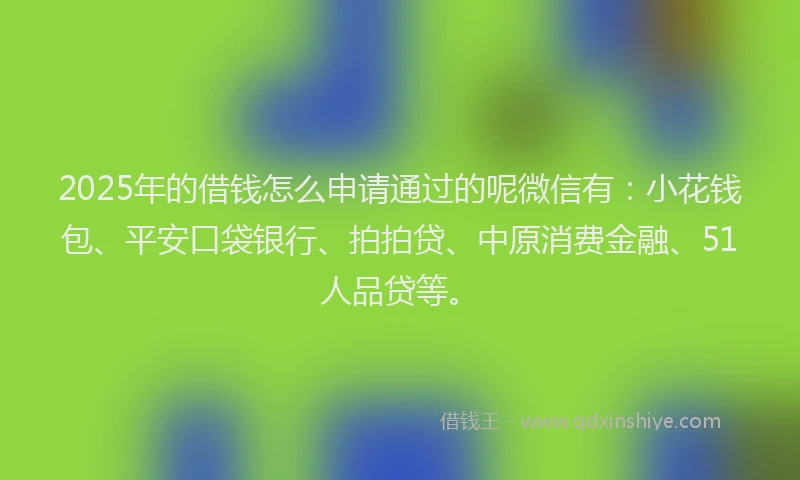 2025年的借钱怎么申请通过的呢微信有：小花钱包、平安口袋银行、拍拍贷、中原消费金融、51人品贷等。