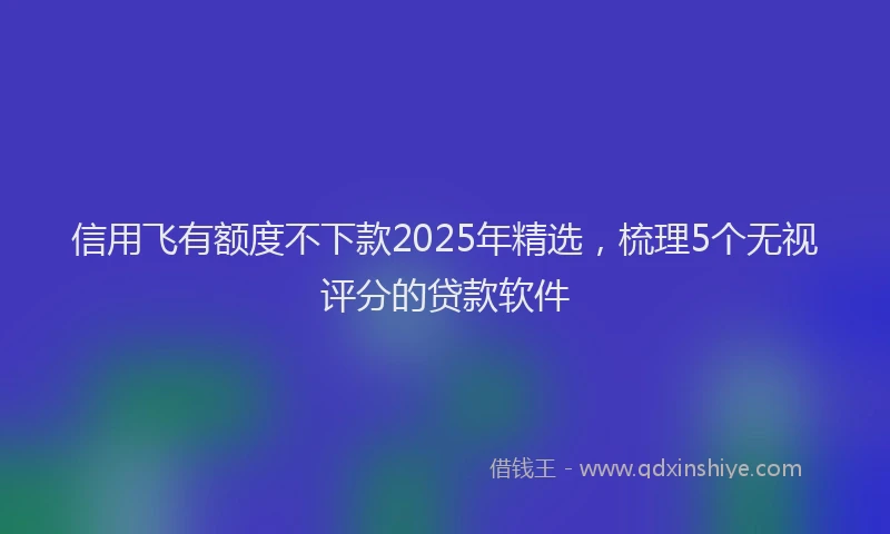 信用飞有额度不下款2025年精选，梳理5个无视评分的贷款软件