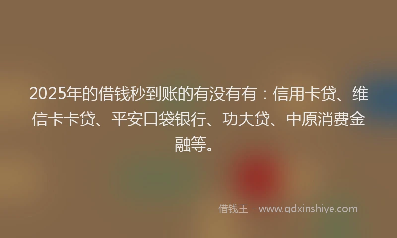 2025年的借钱秒到账的有没有有：信用卡贷、维信卡卡贷、平安口袋银行、功夫贷、中原消费金融等。