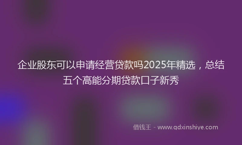 企业股东可以申请经营贷款吗2025年精选，总结五个高能分期贷款口子新秀