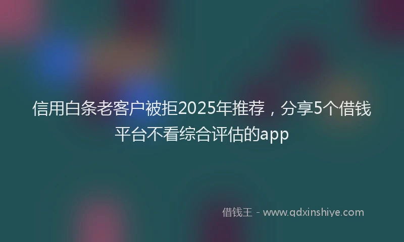 信用白条老客户被拒2025年推荐，分享5个借钱平台不看综合评估的app