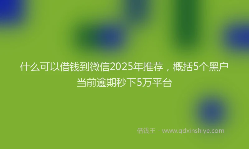 什么可以借钱到微信2025年推荐，概括5个黑户当前逾期秒下5万平台