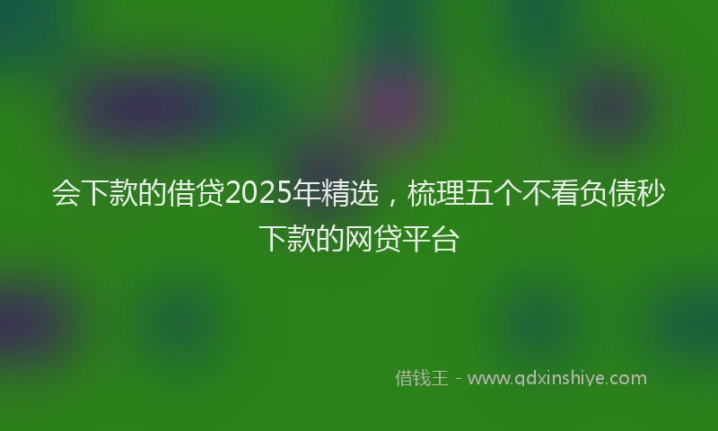 会下款的借贷2025年精选，梳理五个不看负债秒下款的网贷平台