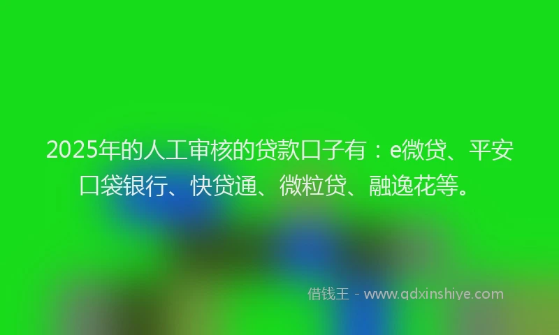 2025年的人工审核的贷款口子有：e微贷、平安口袋银行、快贷通、微粒贷、融逸花等。