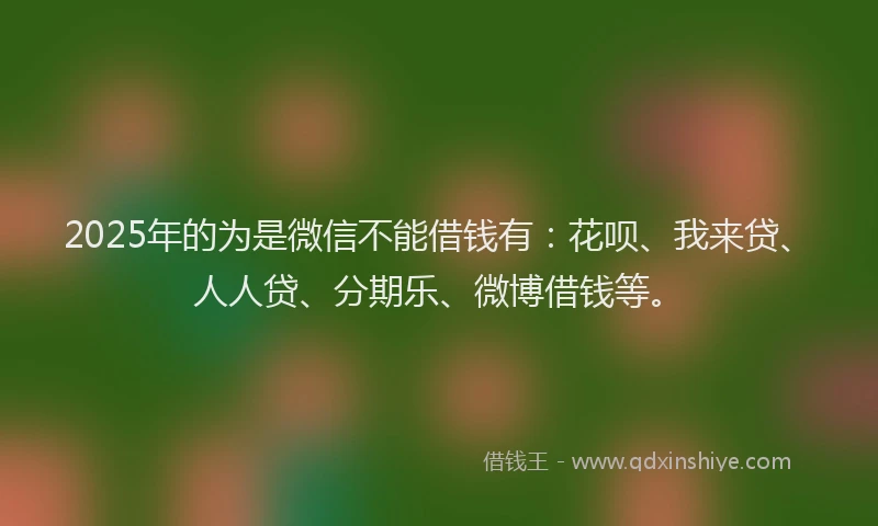 2025年的为是微信不能借钱有：花呗、我来贷、人人贷、分期乐、微博借钱等。