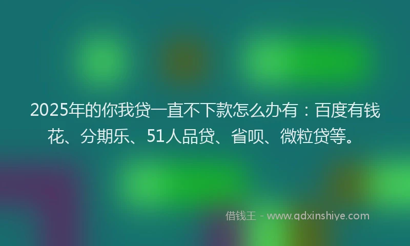 2025年的你我贷一直不下款怎么办有：百度有钱花、分期乐、51人品贷、省呗、微粒贷等。