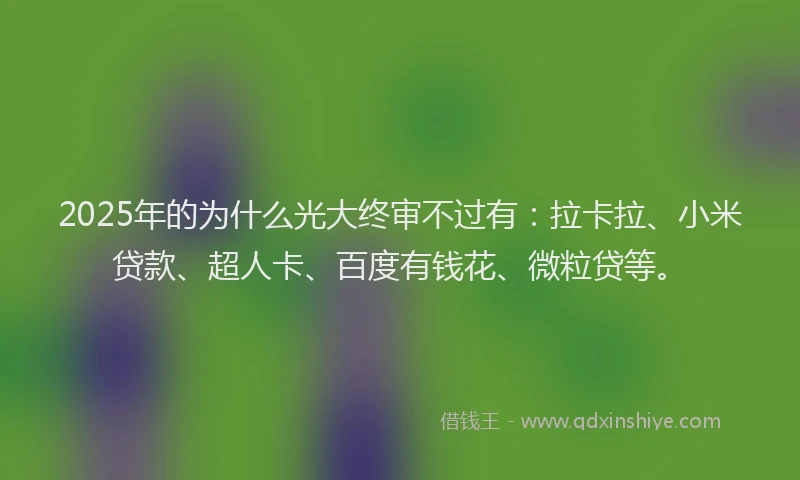 2025年的为什么光大终审不过有：拉卡拉、小米贷款、超人卡、百度有钱花、微粒贷等。