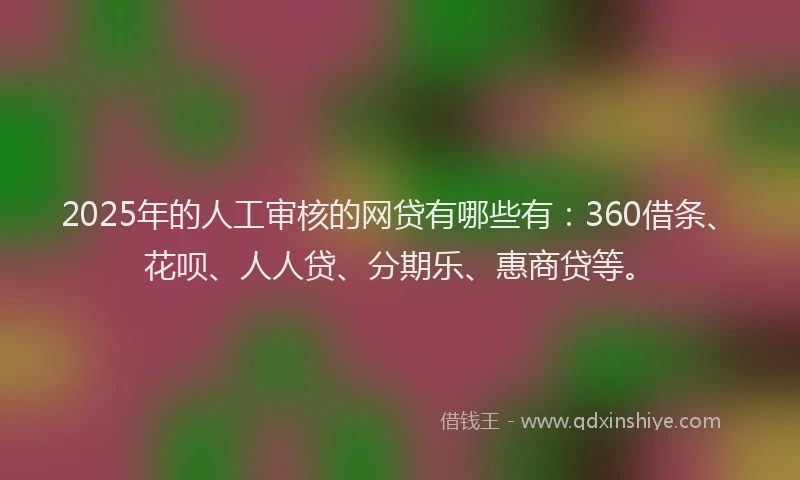 2025年的人工审核的网贷有哪些有：360借条、花呗、人人贷、分期乐、惠商贷等。