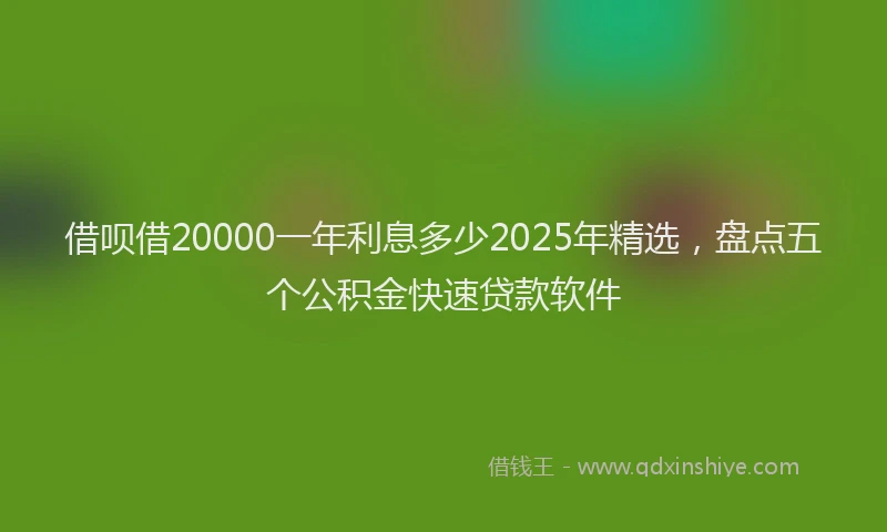 借呗借20000一年利息多少2025年精选，盘点五个公积金快速贷款软件