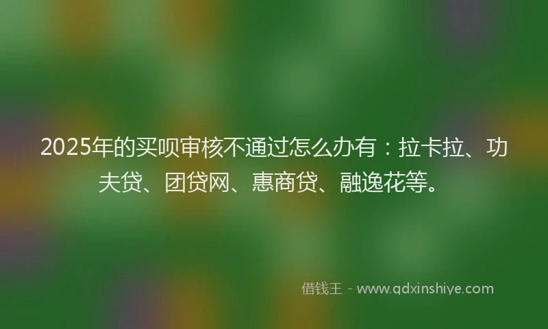 2025年的买呗审核不通过怎么办有：拉卡拉、功夫贷、团贷网、惠商贷、融逸花等。