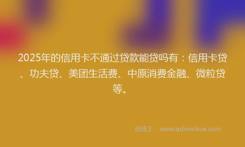 2025年的信用卡不通过贷款能贷吗有：信用卡贷、功夫贷、美团生活费、中原消费金融、微粒贷等。