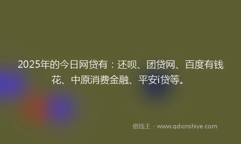 2025年的今日网贷有：还呗、团贷网、百度有钱花、中原消费金融、平安i贷等。