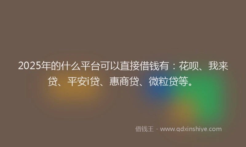2025年的什么平台可以直接借钱有：花呗、我来贷、平安i贷、惠商贷、微粒贷等。
