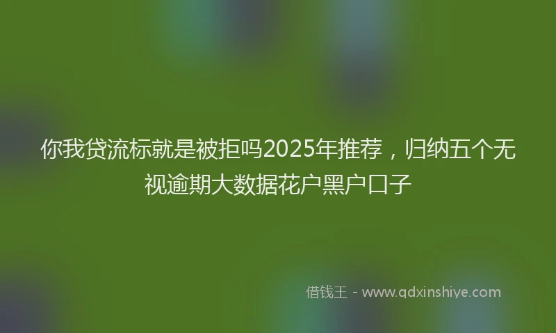 你我贷流标就是被拒吗2025年推荐，归纳五个无视逾期大数据花户黑户口子