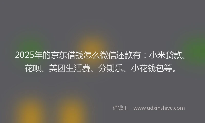 2025年的京东借钱怎么微信还款有：小米贷款、花呗、美团生活费、分期乐、小花钱包等。