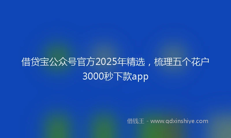 借贷宝公众号官方2025年精选，梳理五个花户3000秒下款app