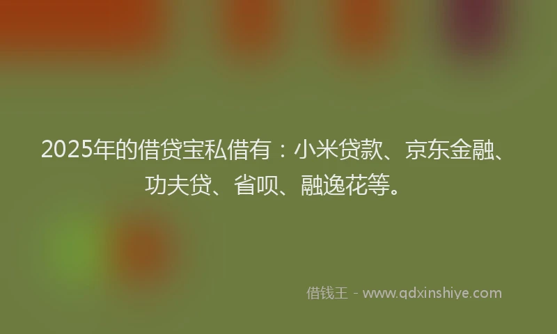2025年的借贷宝私借有：小米贷款、京东金融、功夫贷、省呗、融逸花等。