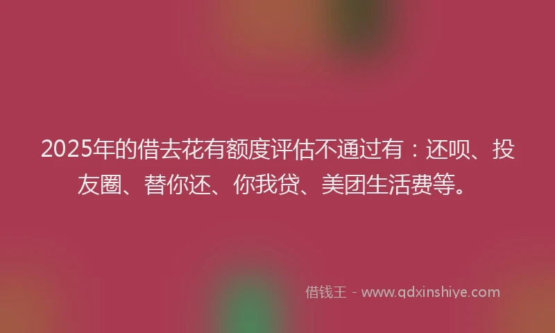 2025年的借去花有额度评估不通过有：还呗、投友圈、替你还、你我贷、美团生活费等。