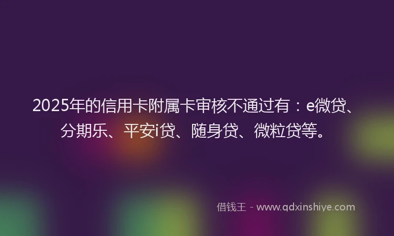 2025年的信用卡附属卡审核不通过有：e微贷、分期乐、平安i贷、随身贷、微粒贷等。