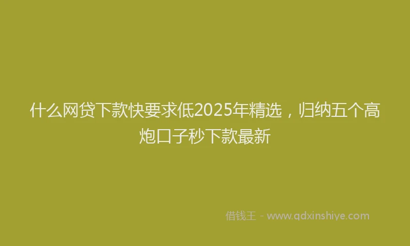 什么网贷下款快要求低2025年精选，归纳五个高炮口子秒下款最新