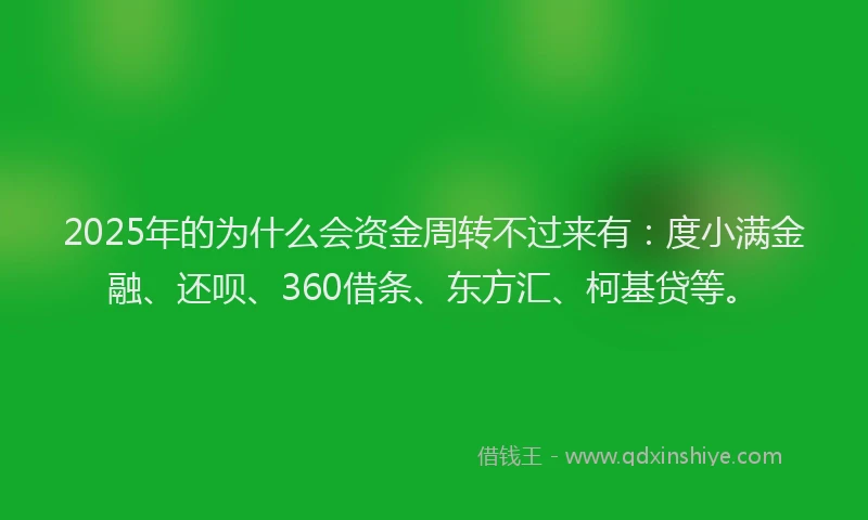 2025年的为什么会资金周转不过来有：度小满金融、还呗、360借条、东方汇、柯基贷等。