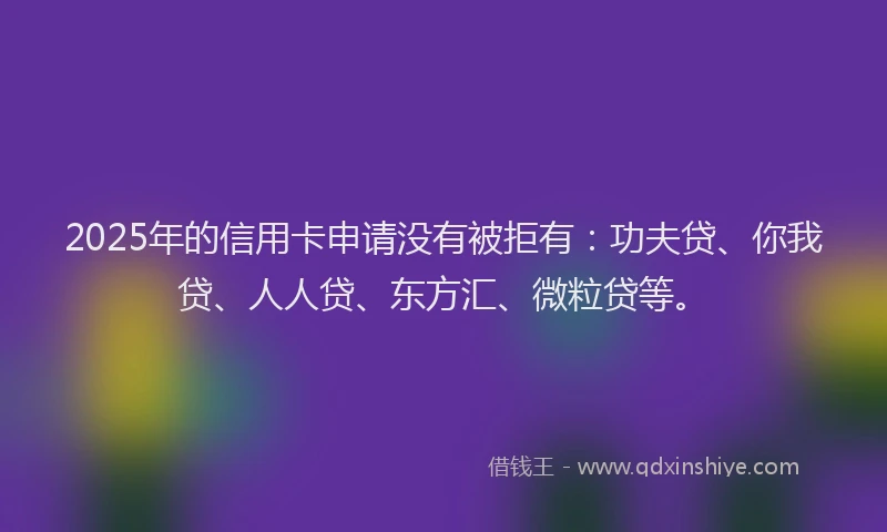2025年的信用卡申请没有被拒有：功夫贷、你我贷、人人贷、东方汇、微粒贷等。