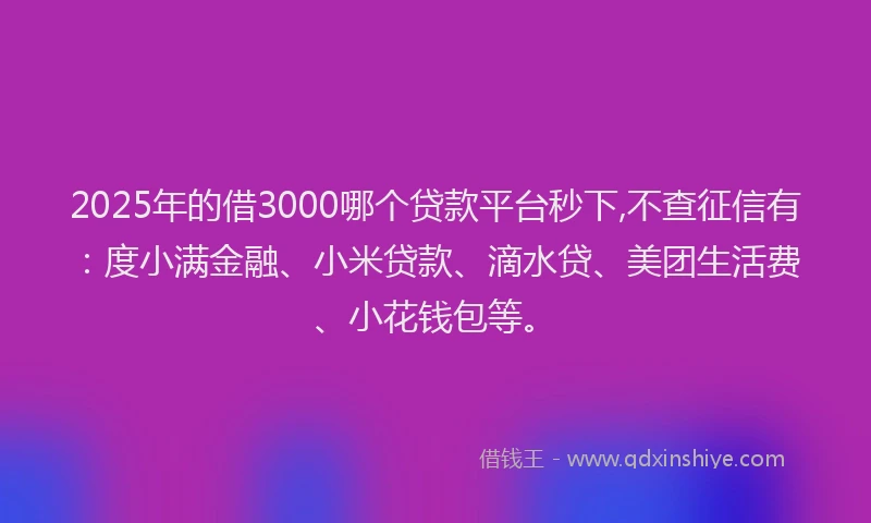 2025年的借3000哪个贷款平台秒下,不查征信有：度小满金融、小米贷款、滴水贷、美团生活费、小花钱包等。