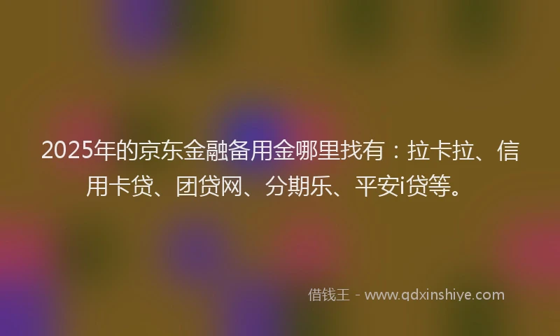 2025年的京东金融备用金哪里找有：拉卡拉、信用卡贷、团贷网、分期乐、平安i贷等。