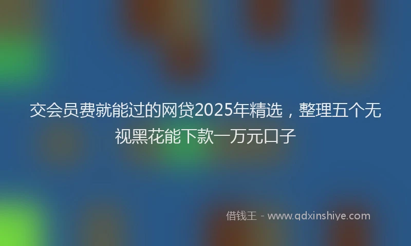 交会员费就能过的网贷2025年精选，整理五个无视黑花能下款一万元口子