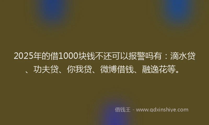 2025年的借1000块钱不还可以报警吗有：滴水贷、功夫贷、你我贷、微博借钱、融逸花等。