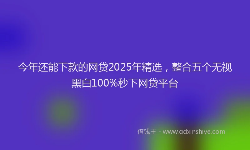 今年还能下款的网贷2025年精选，整合五个无视黑白100%秒下网贷平台