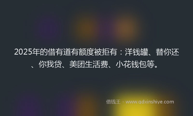 2025年的借有道有额度被拒有：洋钱罐、替你还、你我贷、美团生活费、小花钱包等。