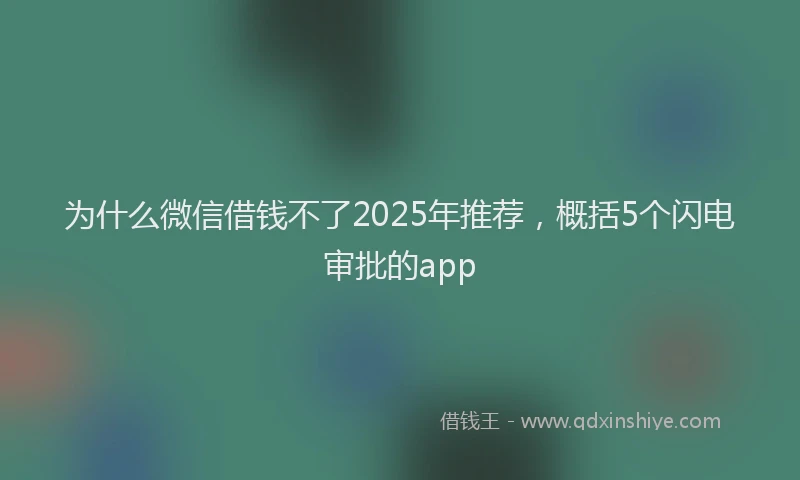 为什么微信借钱不了2025年推荐，概括5个闪电审批的app
