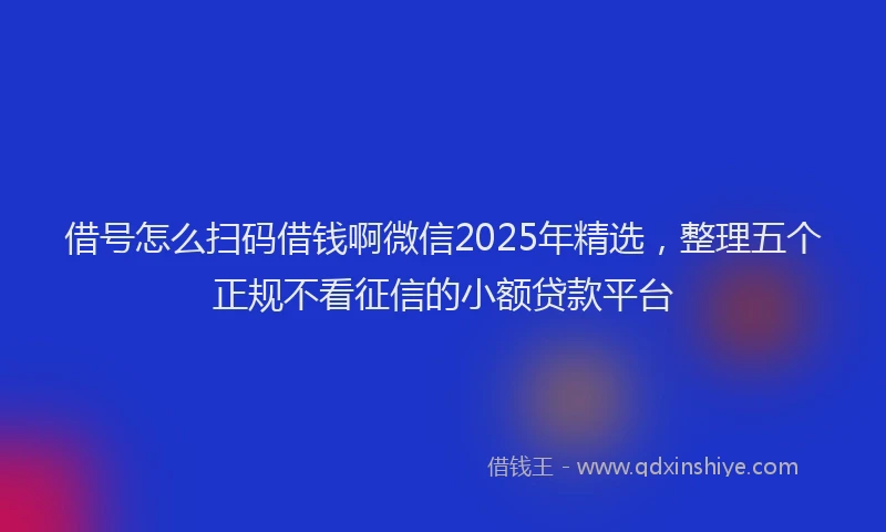 借号怎么扫码借钱啊微信2025年精选，整理五个正规不看征信的小额贷款平台