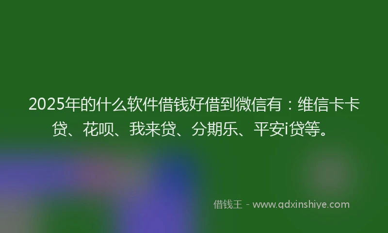 2025年的什么软件借钱好借到微信有：维信卡卡贷、花呗、我来贷、分期乐、平安i贷等。