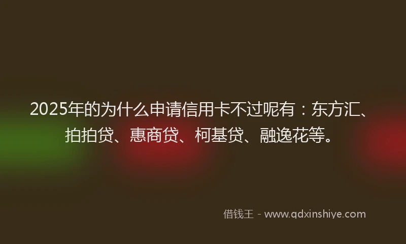 2025年的为什么申请信用卡不过呢有：东方汇、拍拍贷、惠商贷、柯基贷、融逸花等。