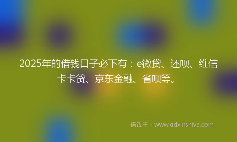 2025年的借钱口子必下有：e微贷、还呗、维信卡卡贷、京东金融、省呗等。