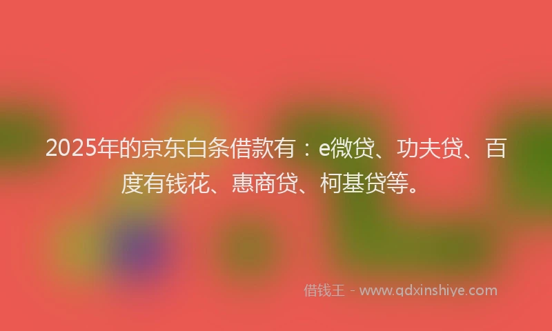 2025年的京东白条借款有：e微贷、功夫贷、百度有钱花、惠商贷、柯基贷等。