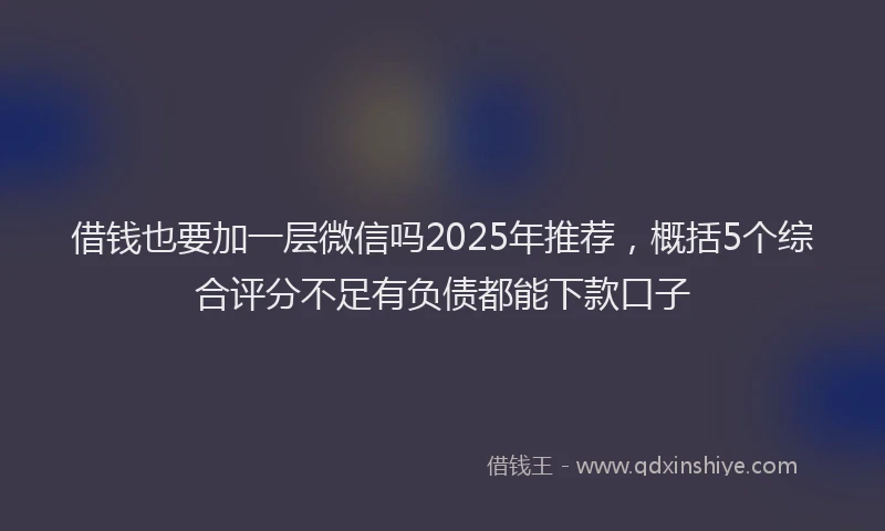 借钱也要加一层微信吗2025年推荐，概括5个综合评分不足有负债都能下款口子