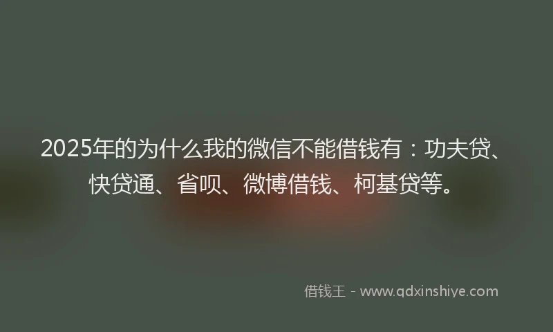 2025年的为什么我的微信不能借钱有：功夫贷、快贷通、省呗、微博借钱、柯基贷等。