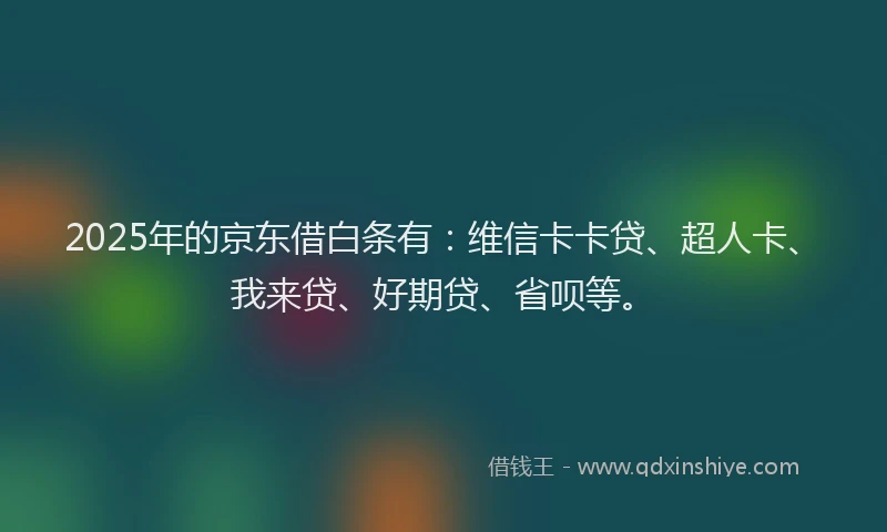 2025年的京东借白条有：维信卡卡贷、超人卡、我来贷、好期贷、省呗等。