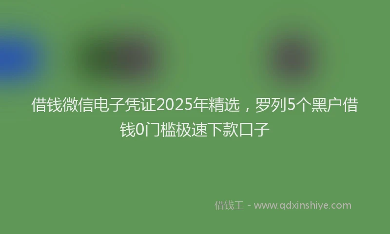 借钱微信电子凭证2025年精选，罗列5个黑户借钱0门槛极速下款口子