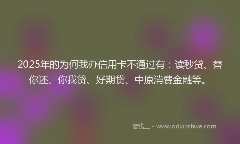 2025年的为何我办信用卡不通过有：读秒贷、替你还、你我贷、好期贷、中原消费金融等。